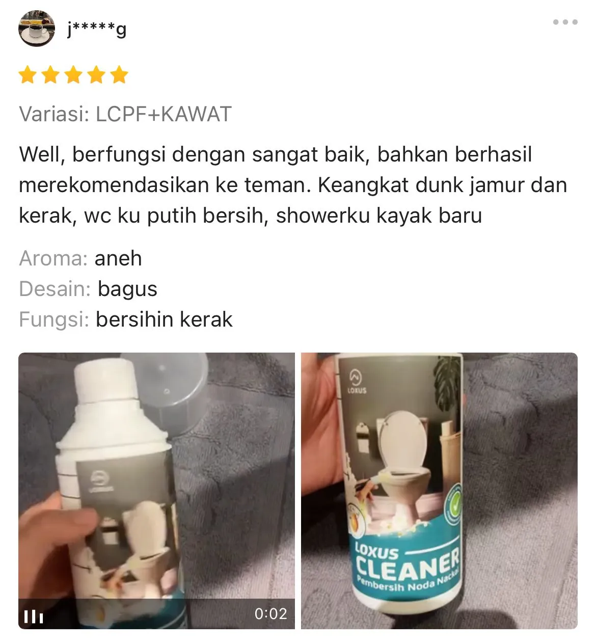 Loxus Cleaner 1