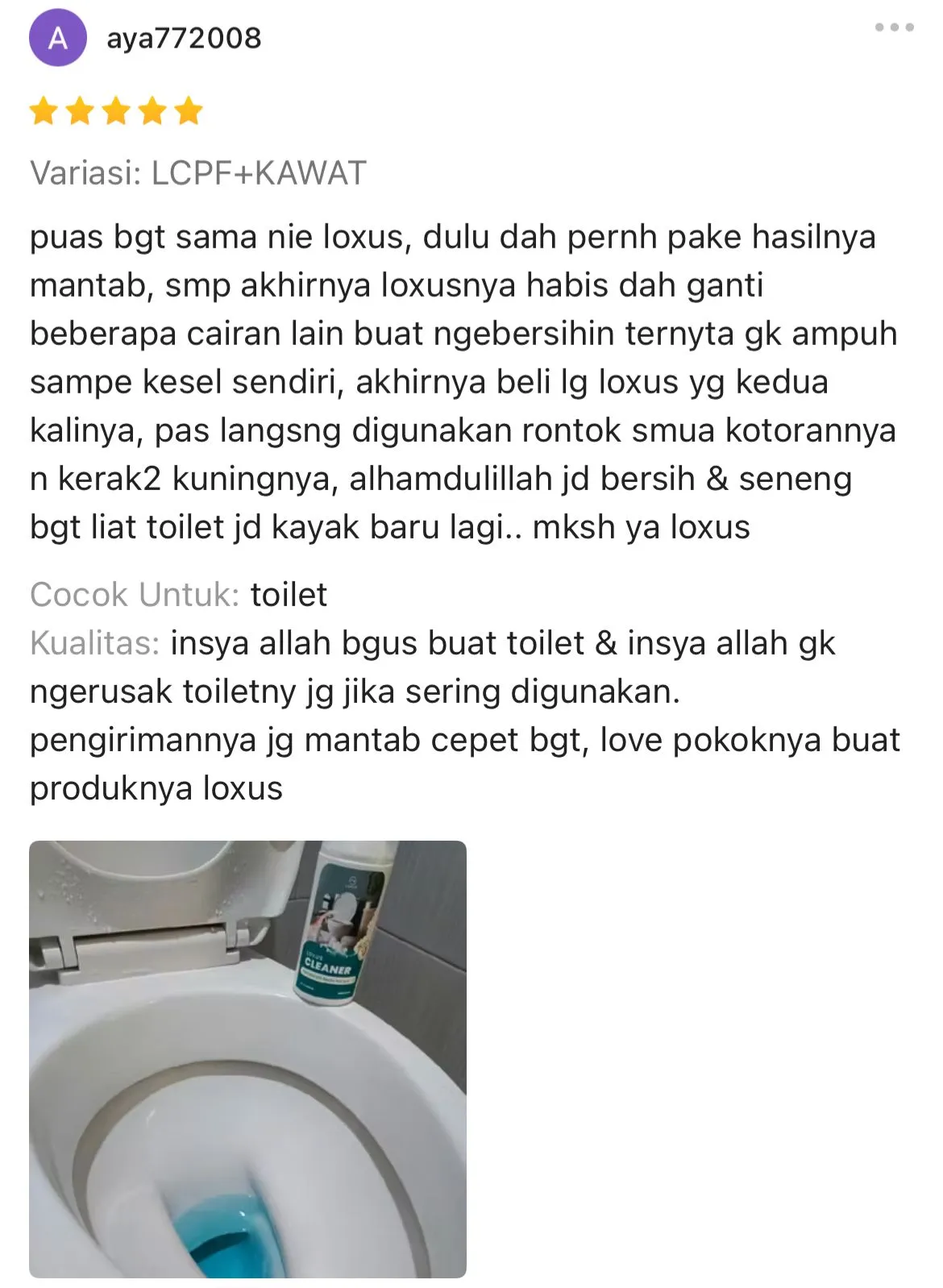 Loxus Cleaner 2